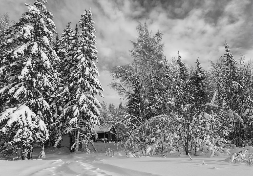 Photograph by Максим Фролов