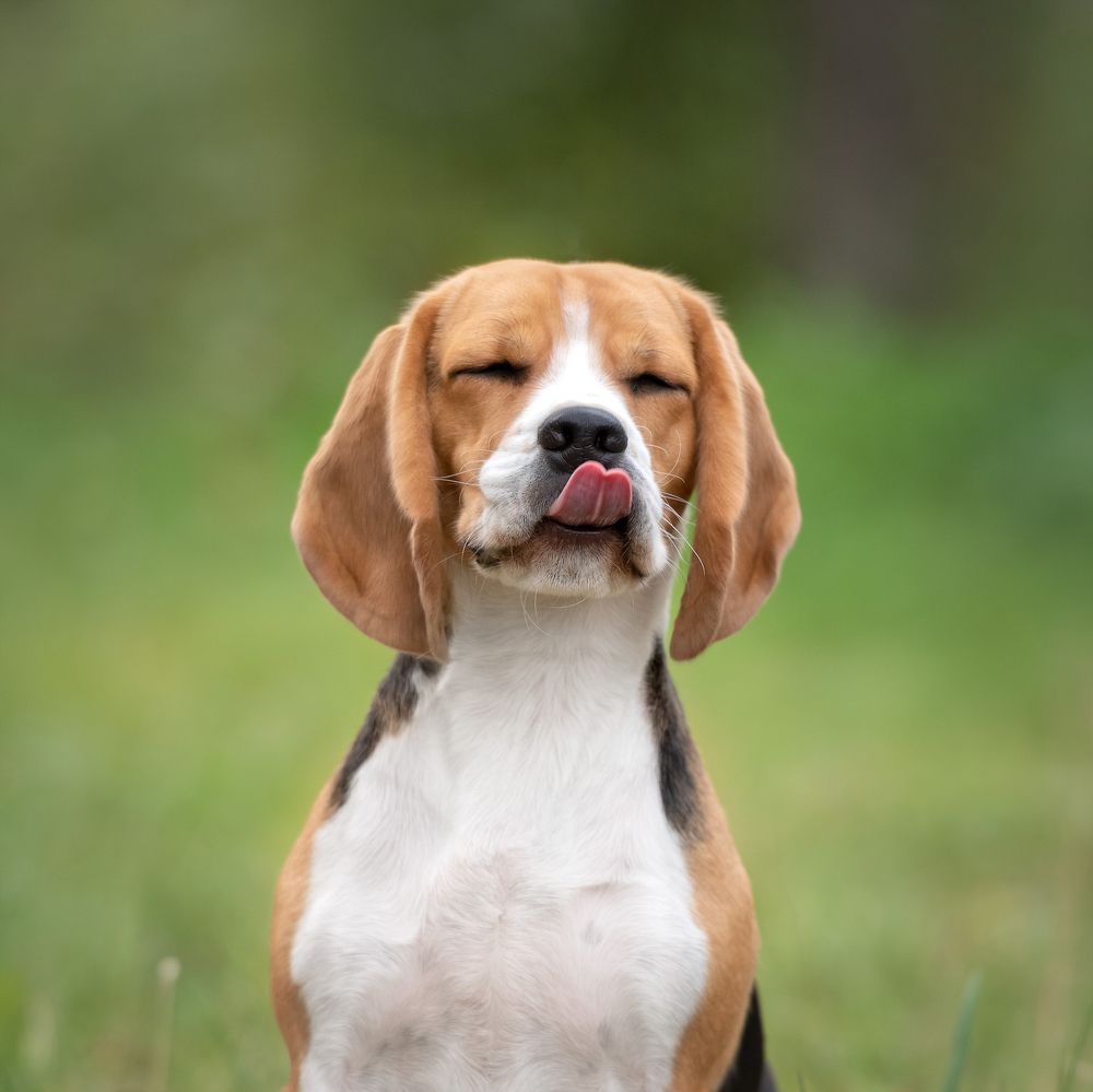 Photograph by Kovaleva Irina