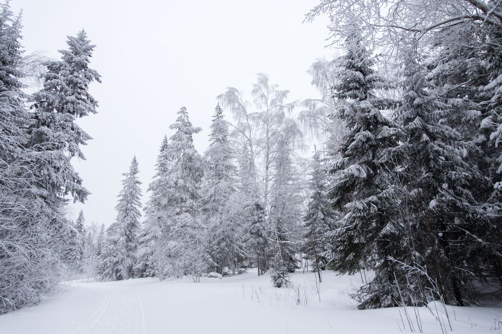 Photograph by Максим Фролов