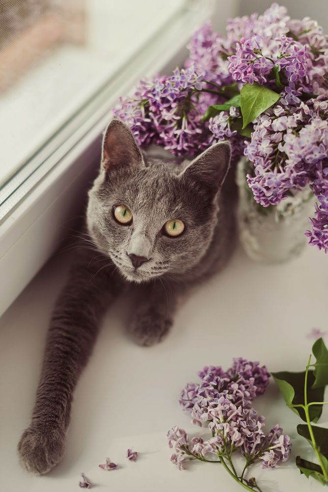 Photograph by Анна Ермоленко