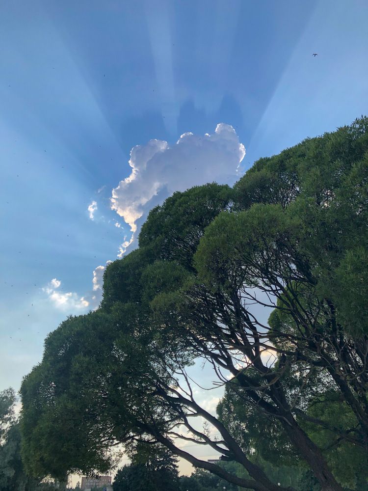 Photograph by Айшат Магомедова