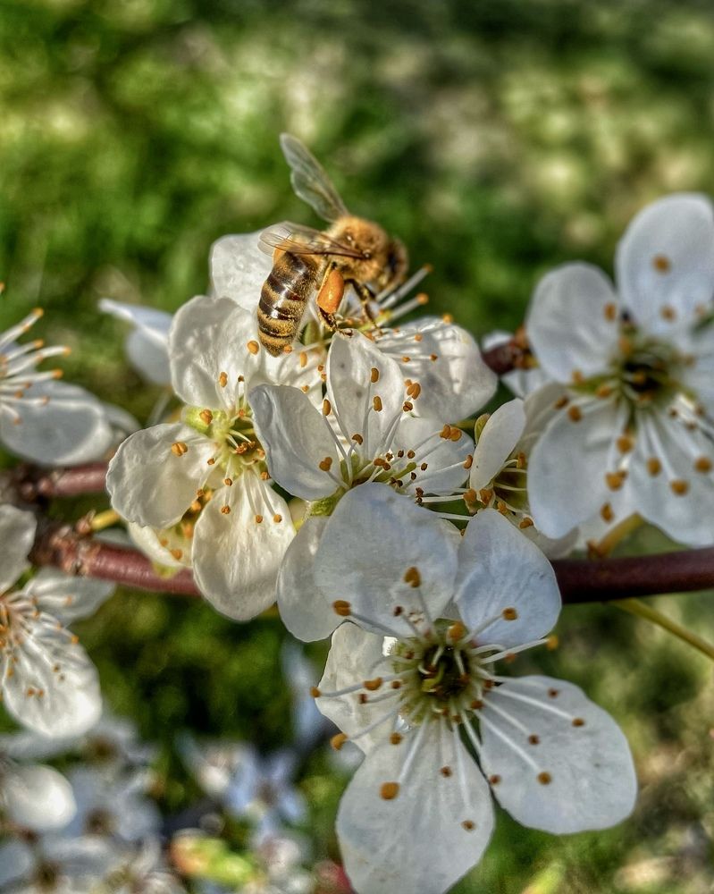 Photograph by Оксана Лукьянова
