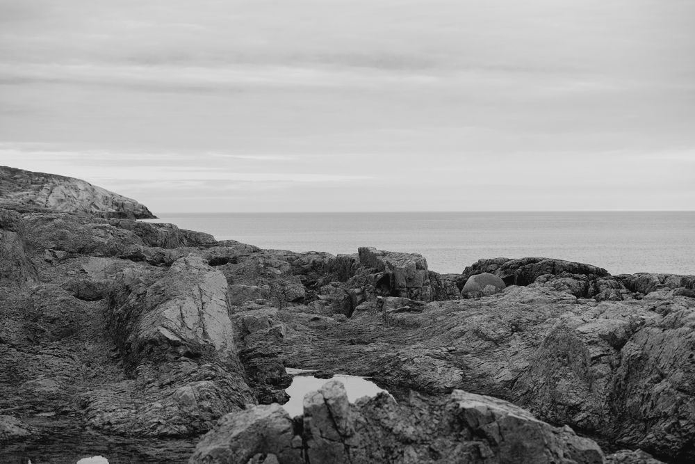 Photograph by Kovaleva Irina