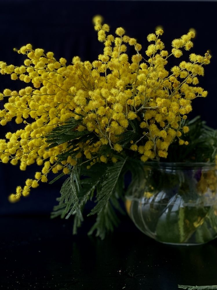 Photograph by Оксана Лукьянова