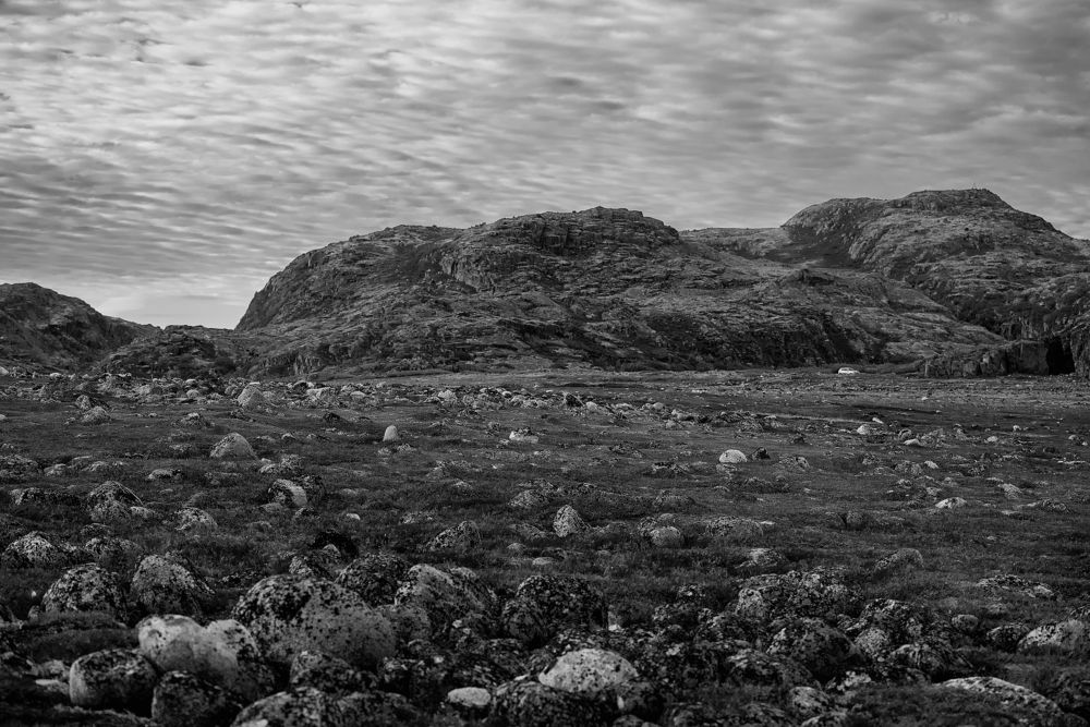 Photograph by Kovaleva Irina