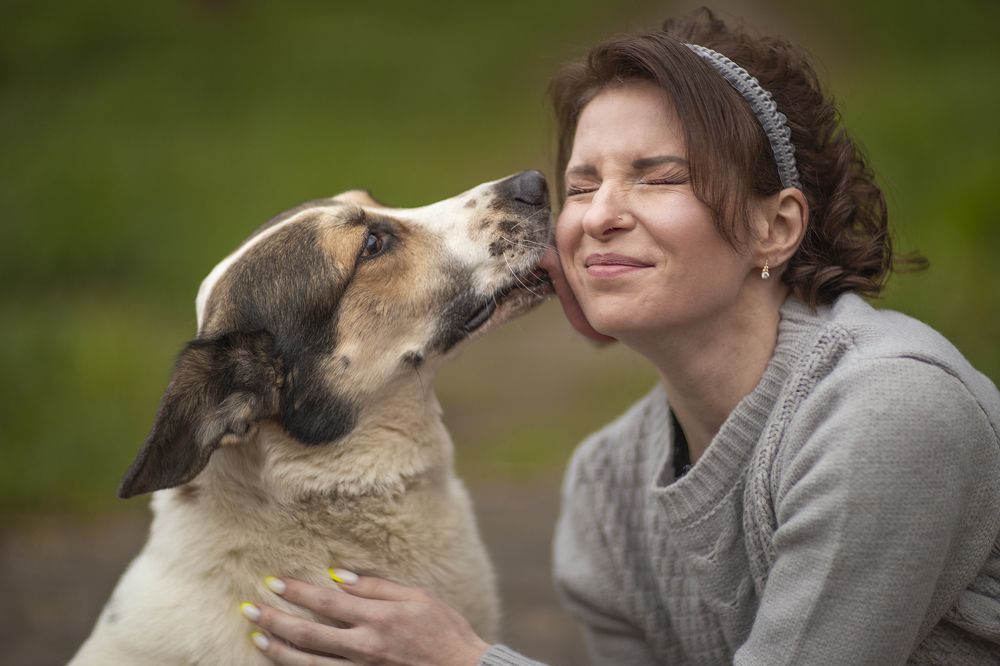 Поцелуй друга