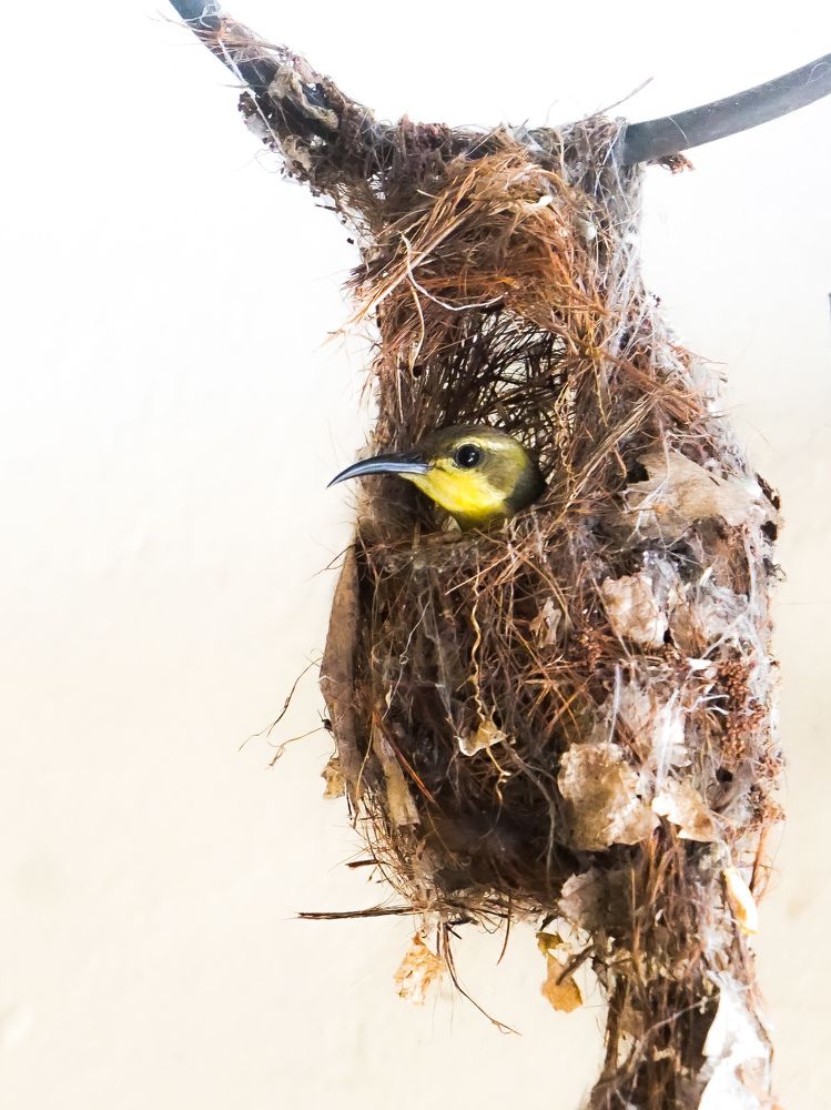 Photograph by Altarejos Andrew