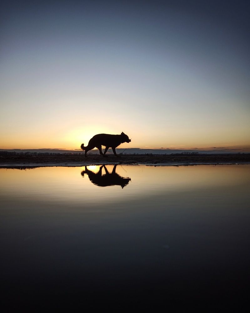 Photograph by Elena Bogomolova