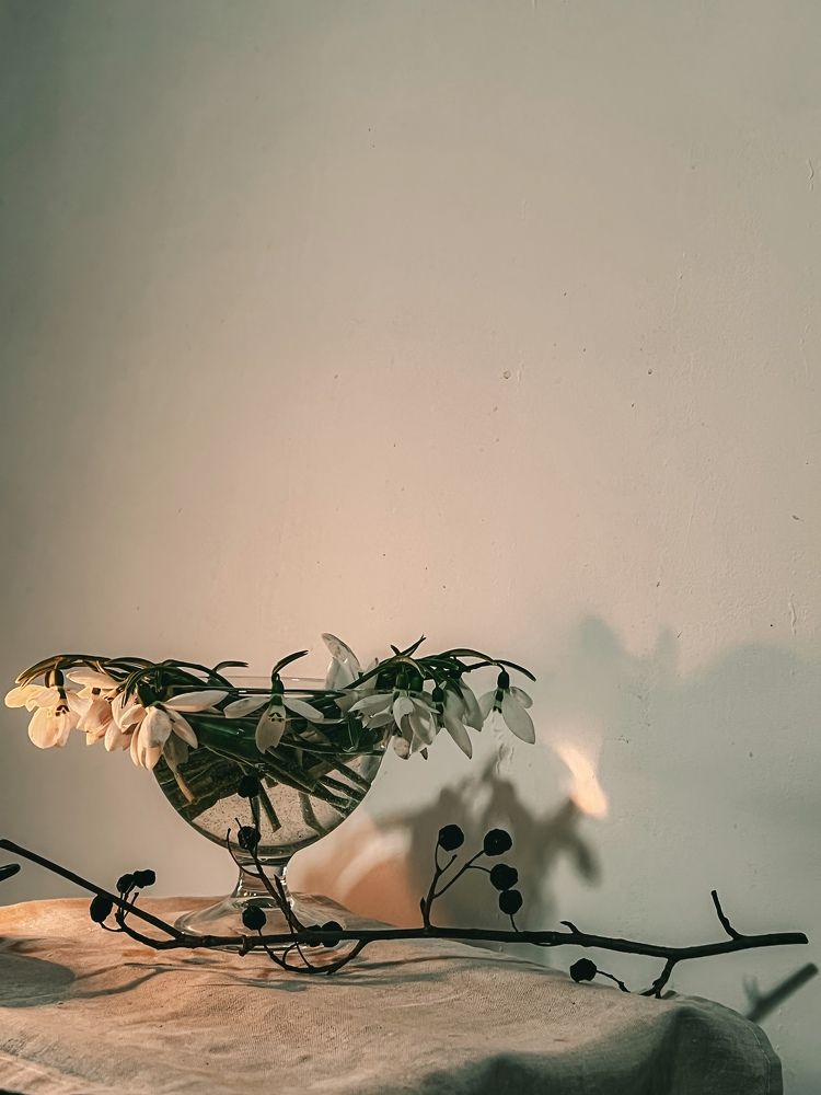 Photograph by Анастасия Денисенко