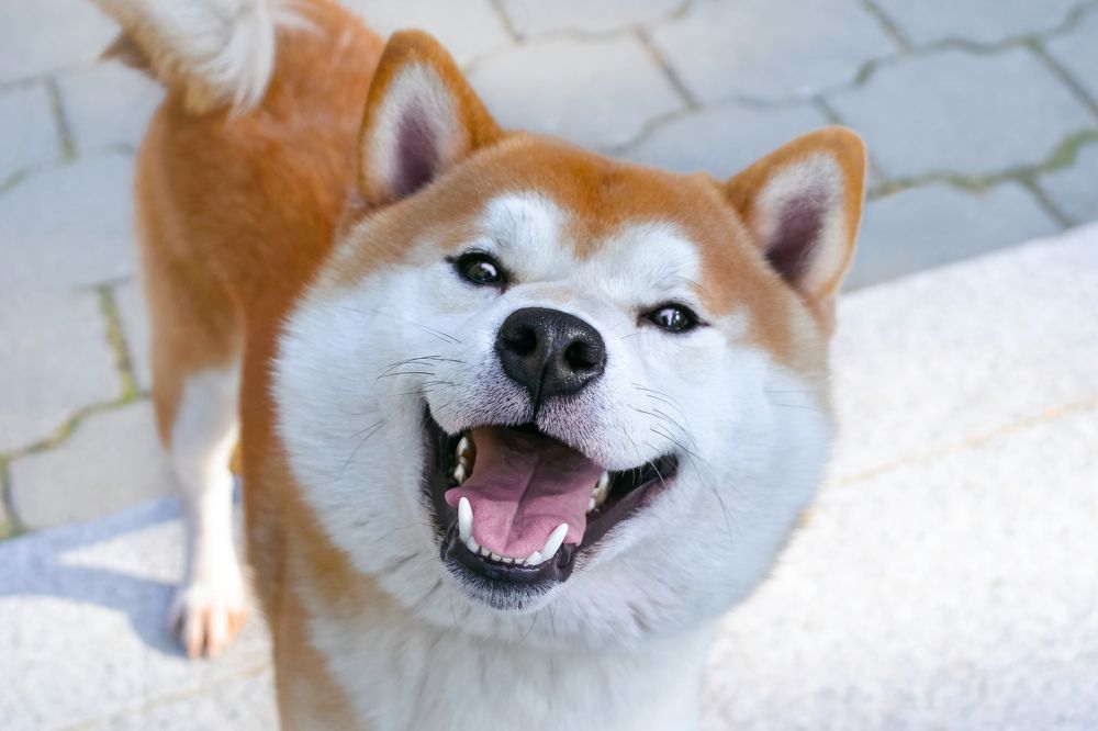 Photograph by Вероника Романенко