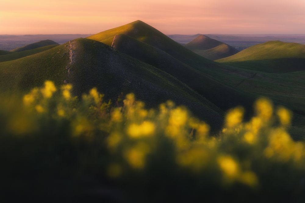 Photograph by Даниил Силантьев