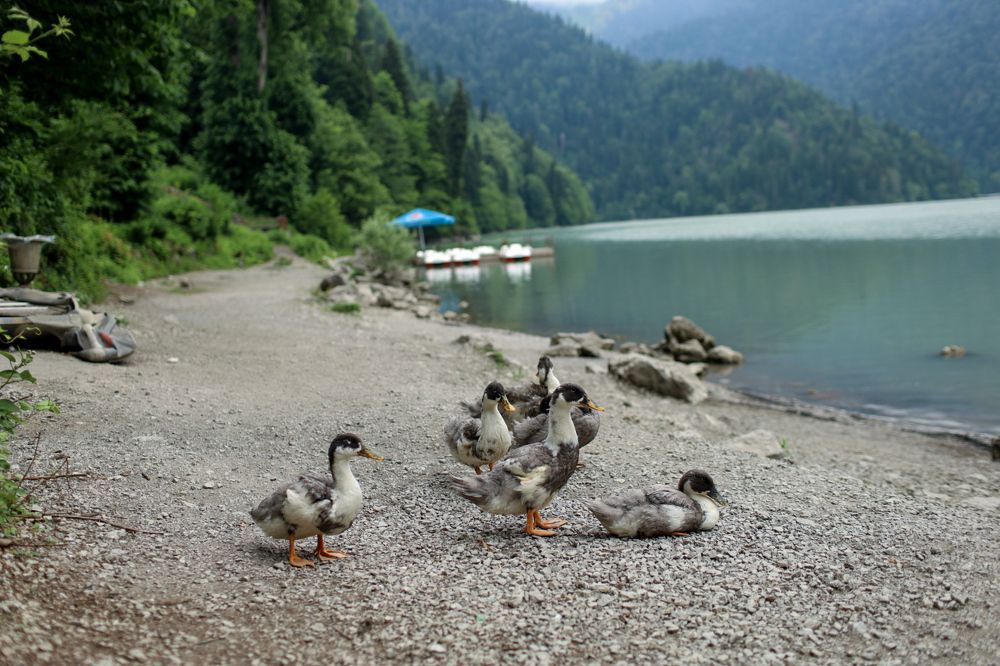 Photograph by Ольга Крестьянинова