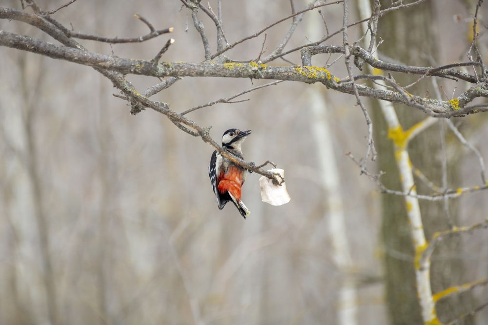 Photograph by Efremenko Nikita