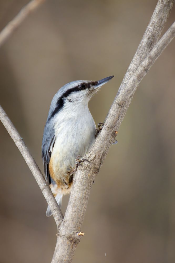 Photograph by Efremenko Nikita