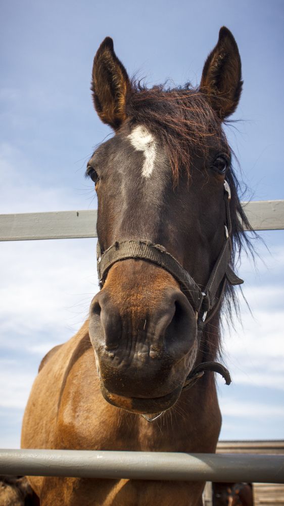 Photograph by Efremenko Nikita