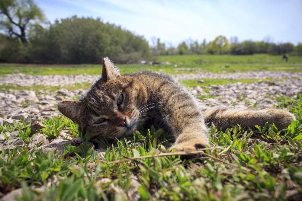 Photograph by Efremenko Nikita