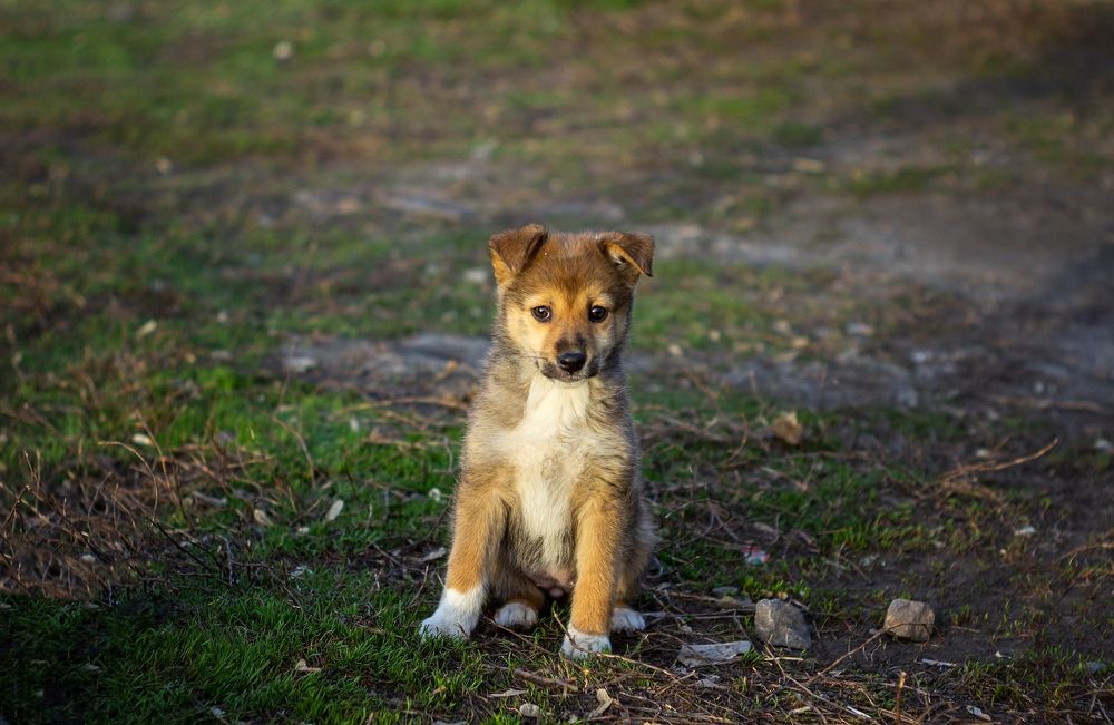 Photograph by Александр Канцур