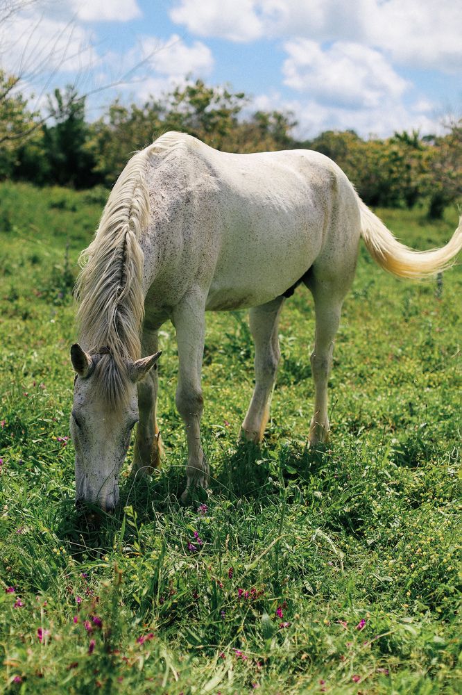 Photograph by Светлана Збраилова