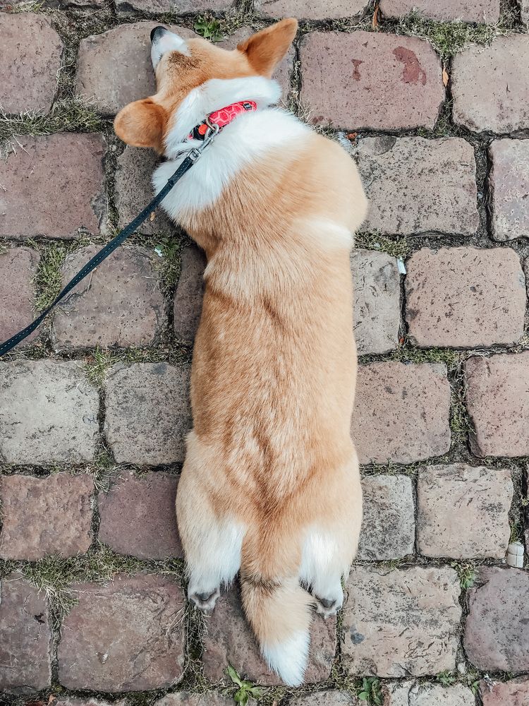 Photograph by Alena Vaganova