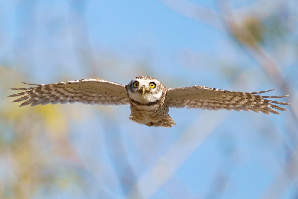 Photograph by Jayavignesh Hariharan