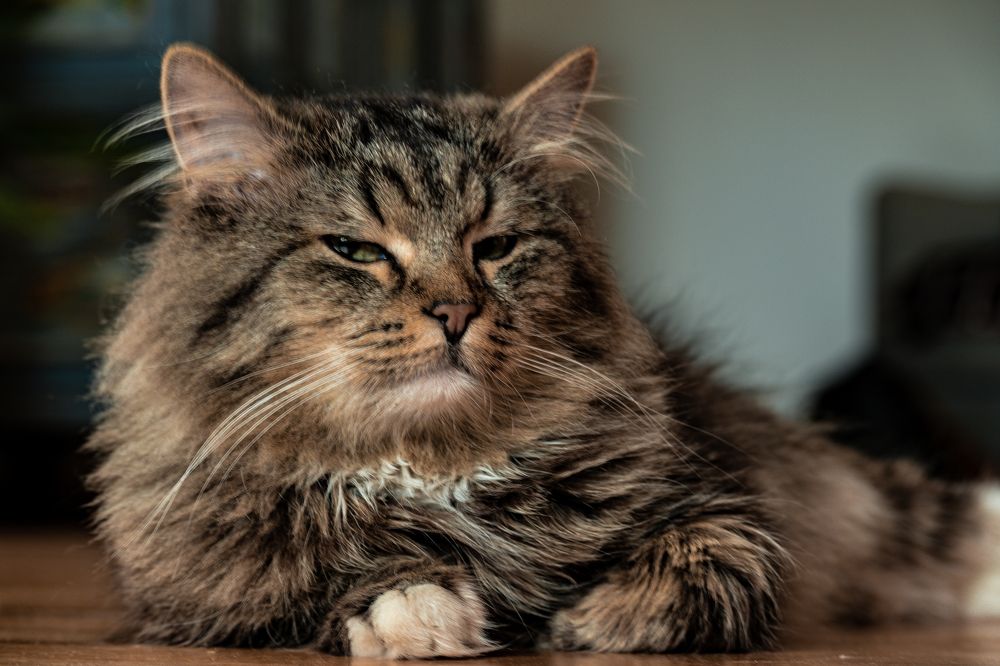 Photograph by Андрей Жуков