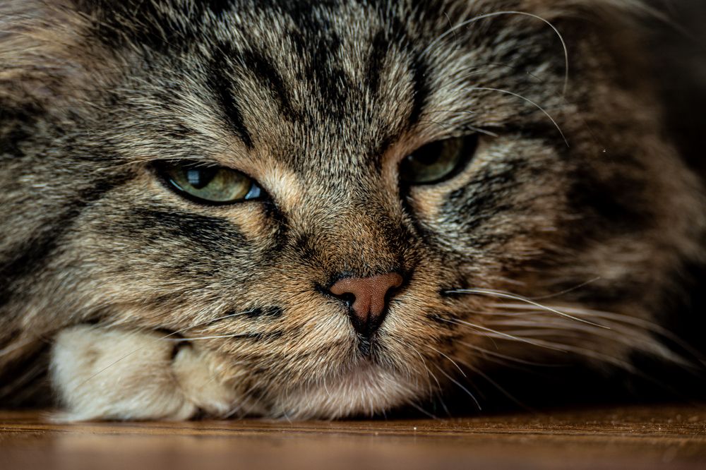 Photograph by Андрей Жуков