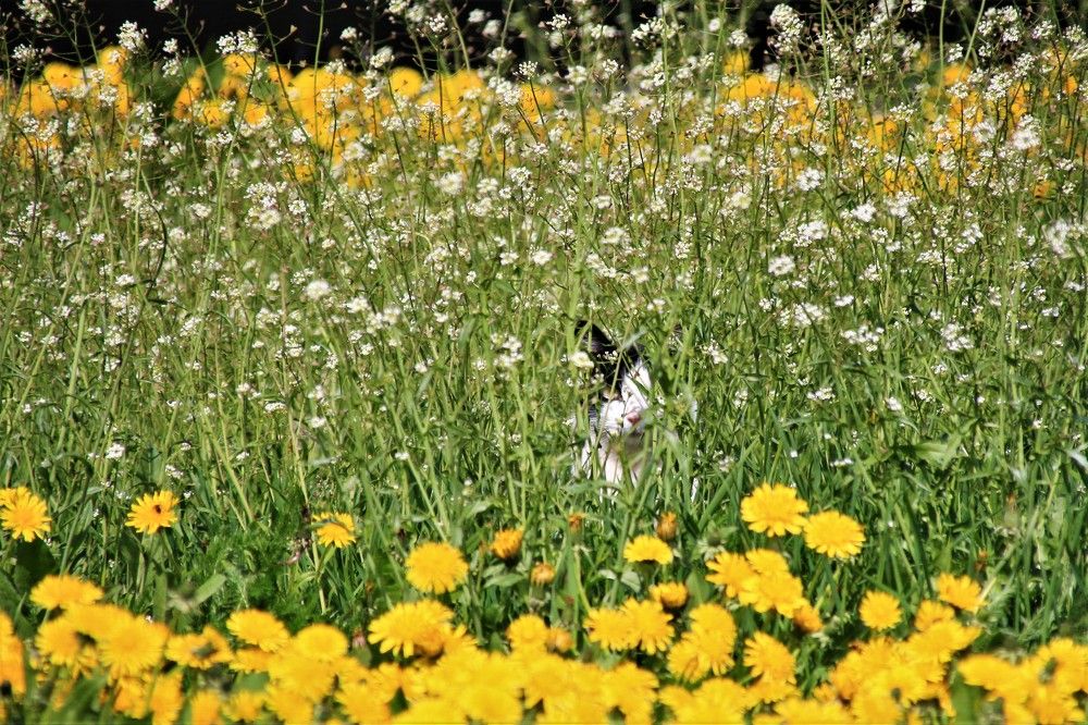 Photograph by Михаил Костыря