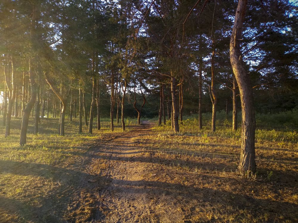 Photograph by Efremenko Nikita