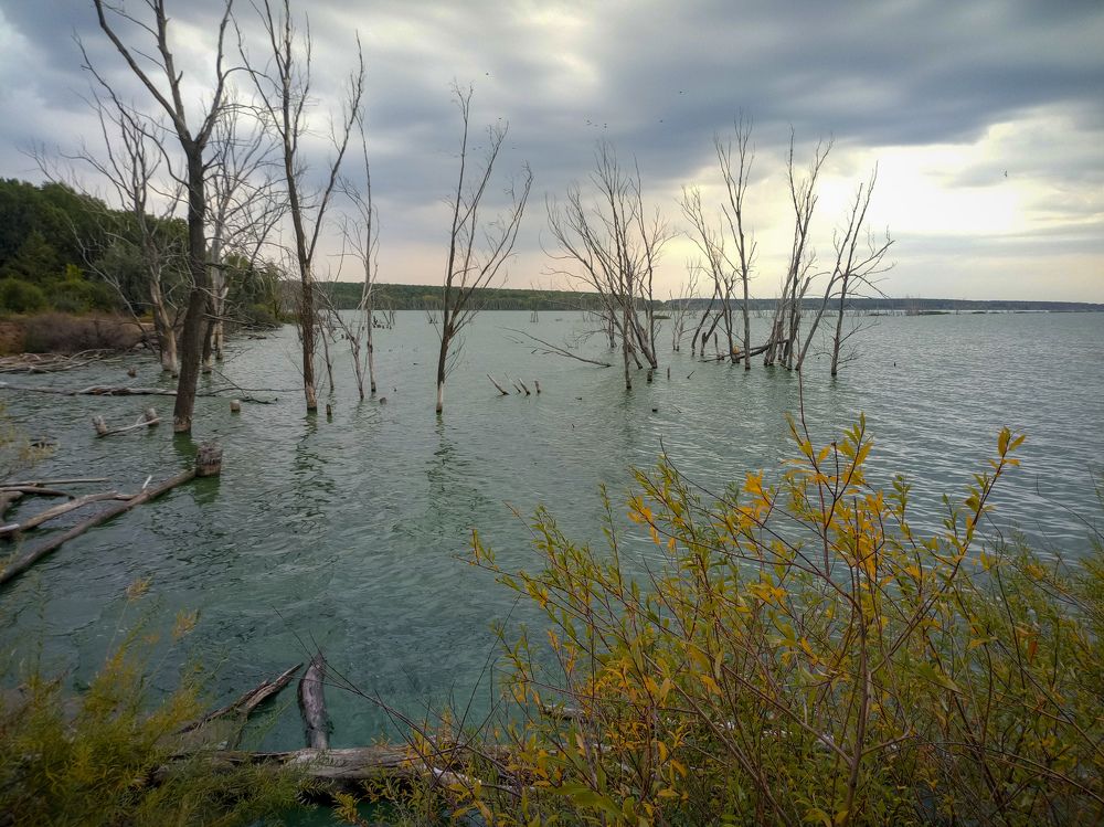 Photograph by Efremenko Nikita