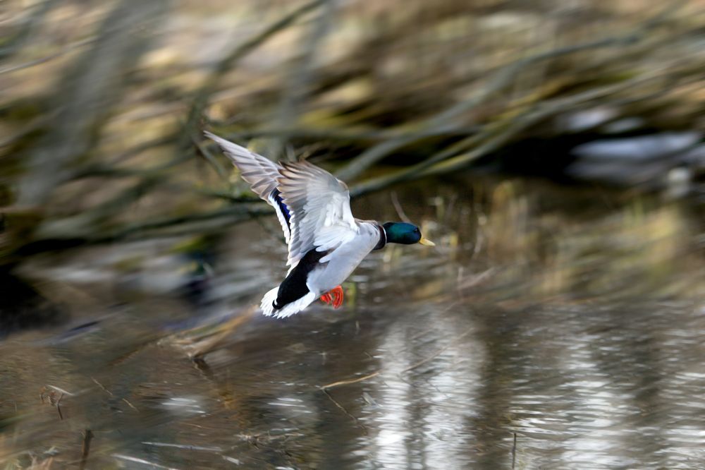 Photograph by Татьяна Семенова