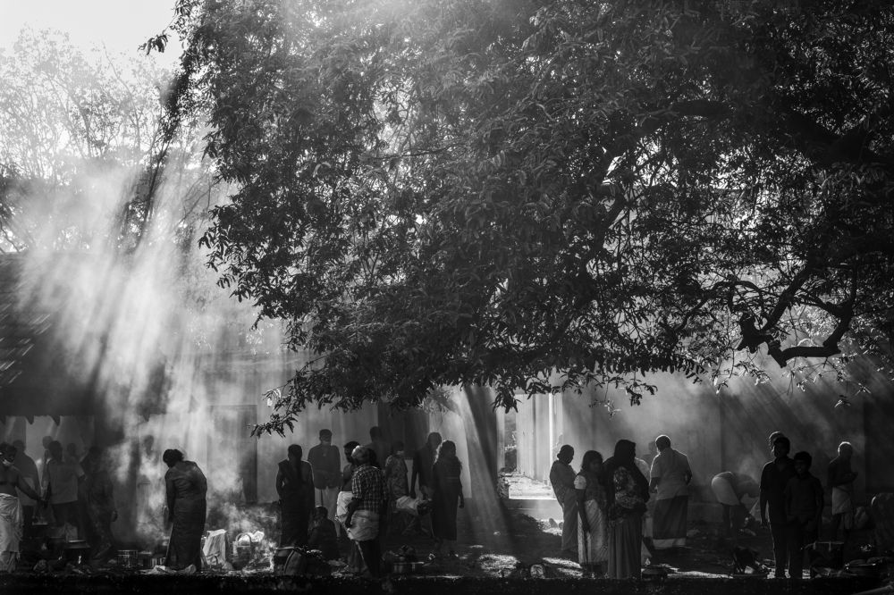 Nature unfolds of sunrise