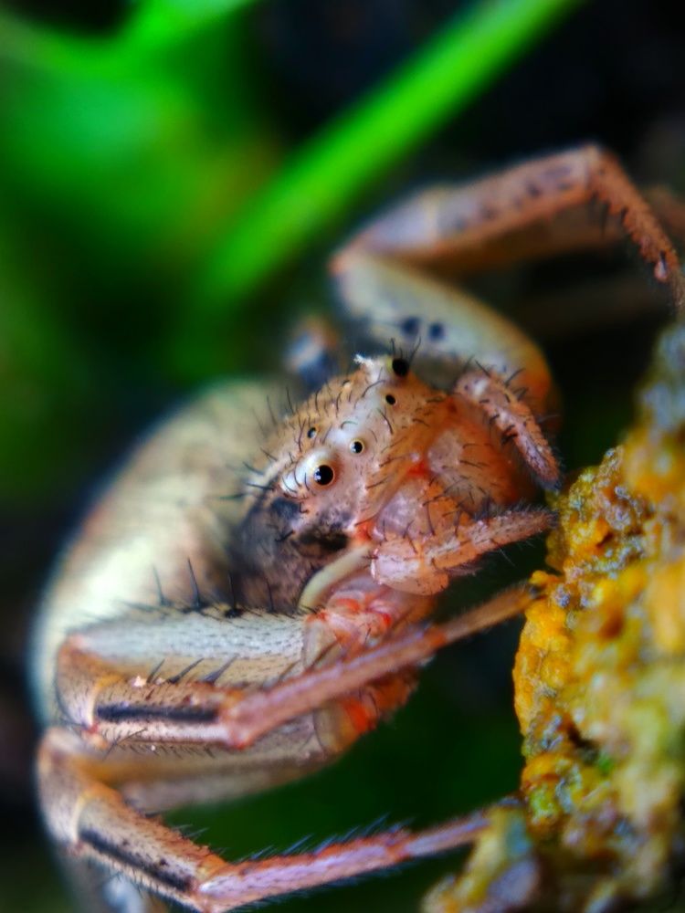 Photograph by Любовь Коровацкая