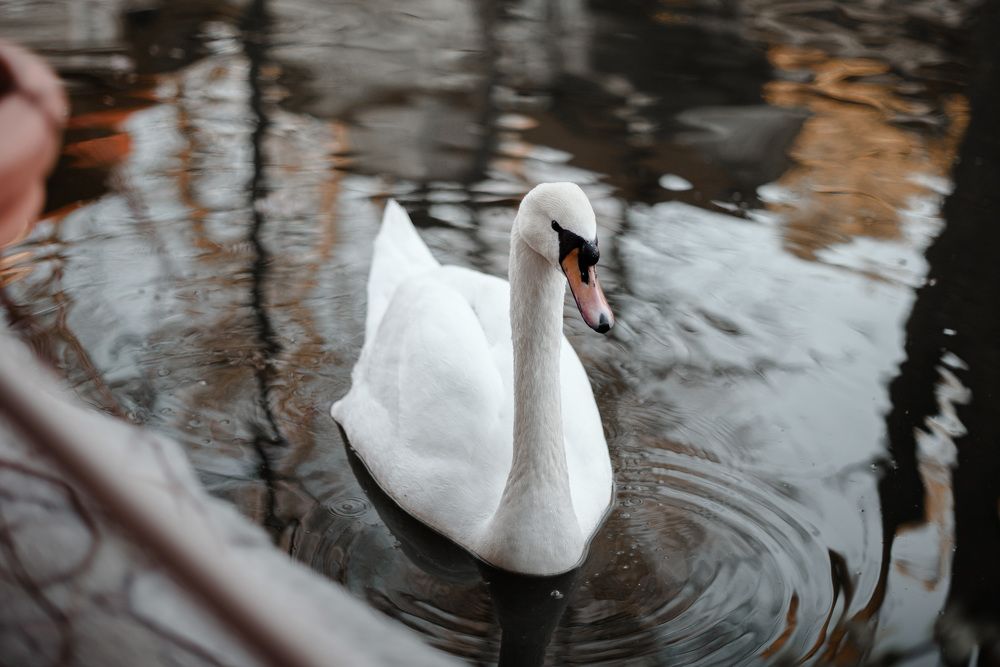 Photograph by Анастасия Грачева