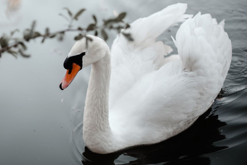 Photograph by Анастасия Грачева