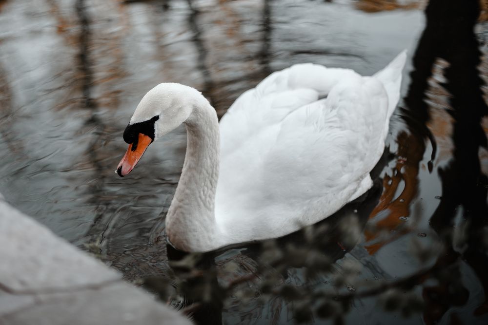 Photograph by Анастасия Грачева