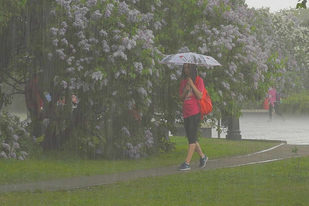 Нежданный ливень