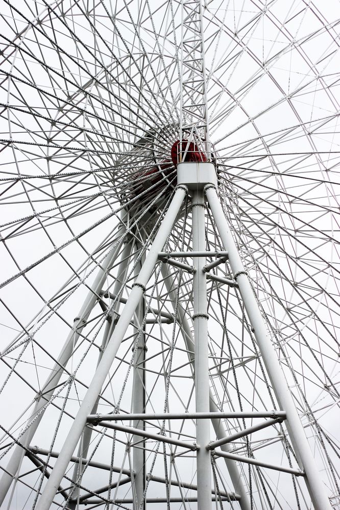 Photograph by Амина Мила