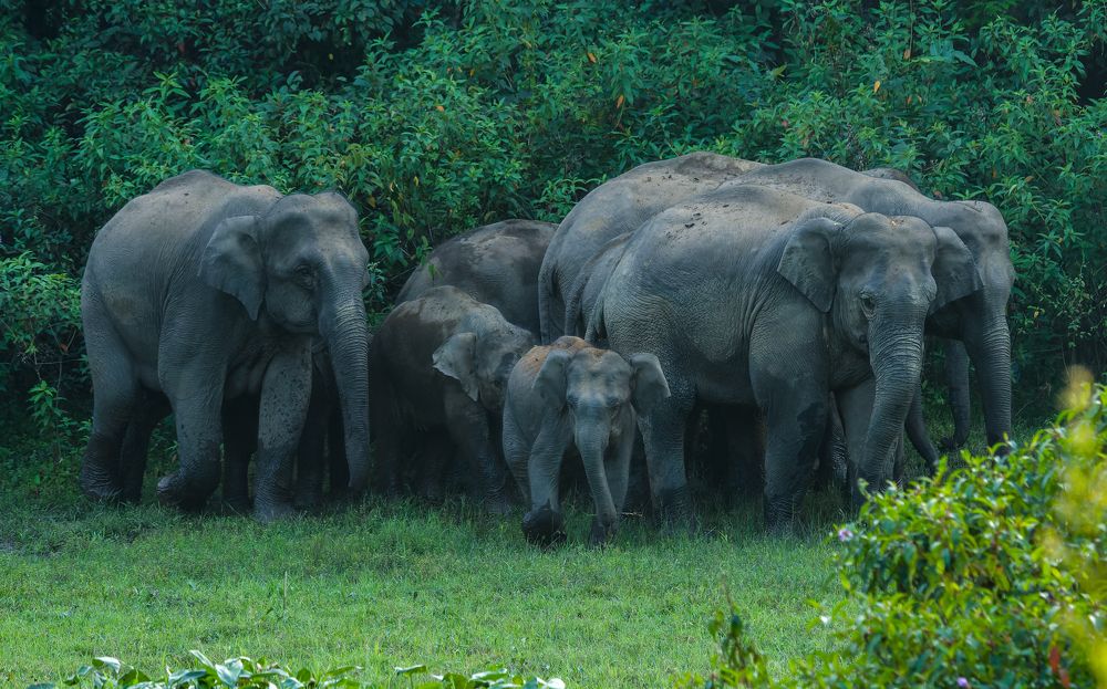 Photograph by najim ahmed