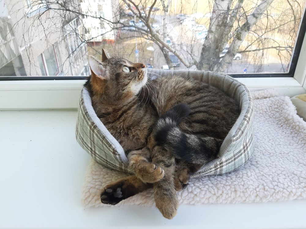 Photograph by Elena Tamošauskaitė