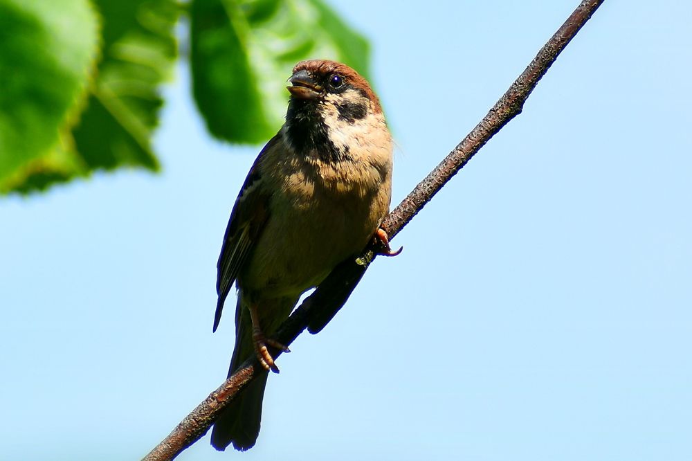 Photograph by Валерий Талейко