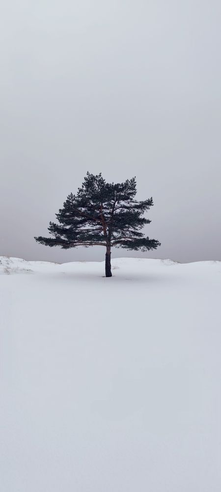 Фотография автора Екатерина