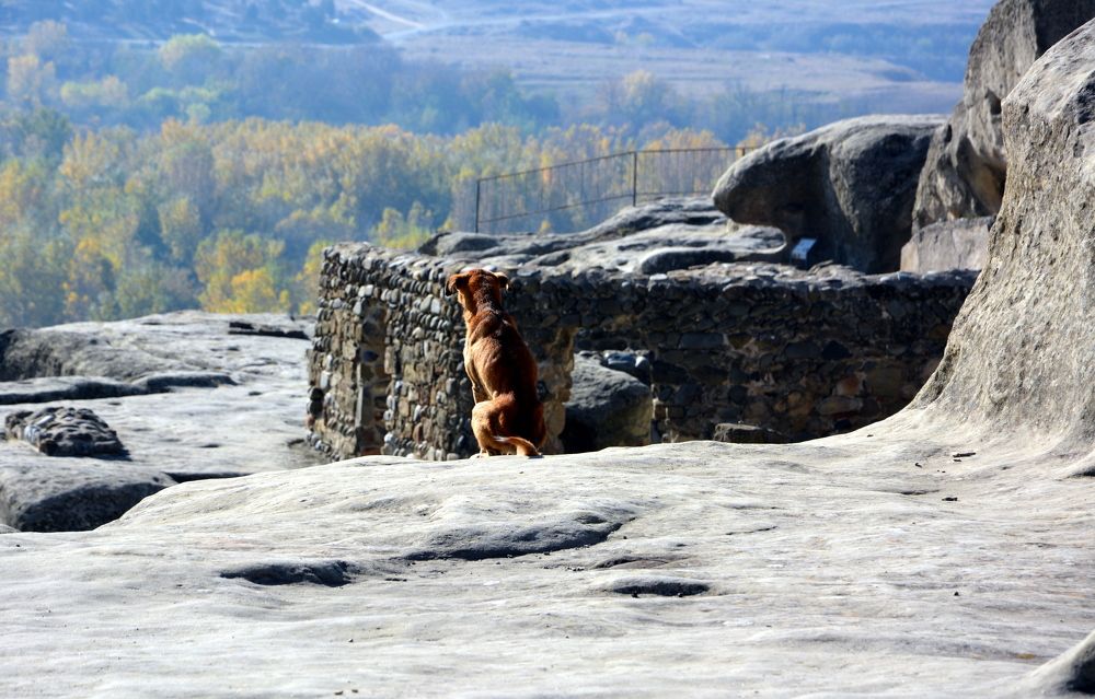 Photograph by Елена Акимова