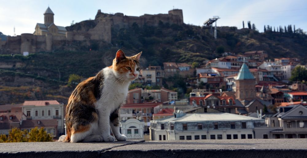 Photograph by Елена Акимова