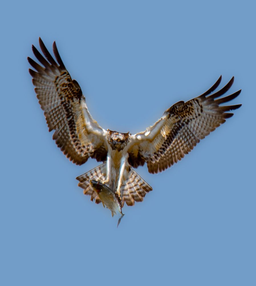 Photograph by najim ahmed