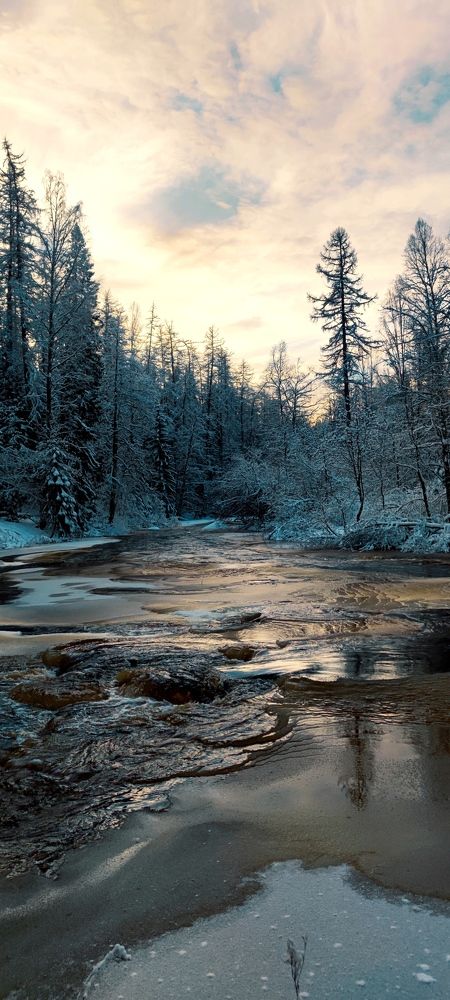 Фотография автора Екатерина