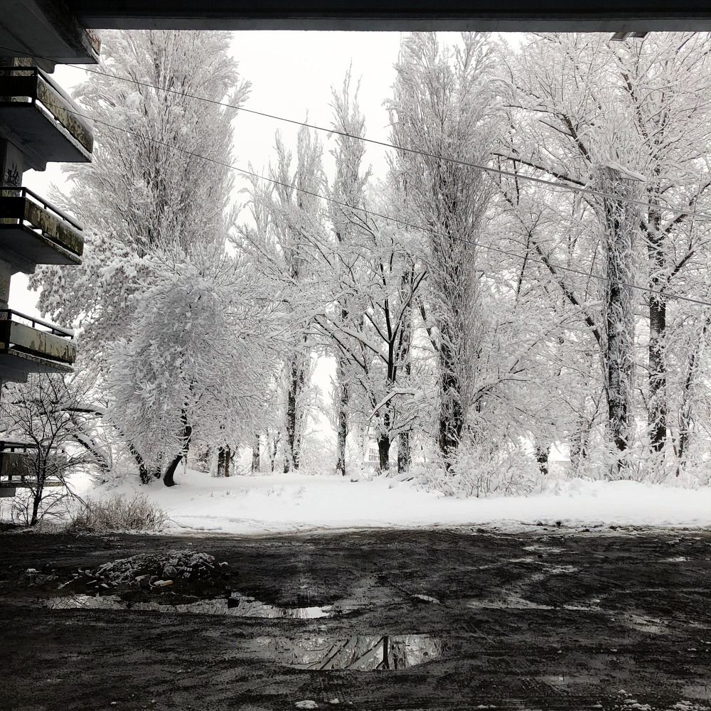 Photograph by Амина Мила