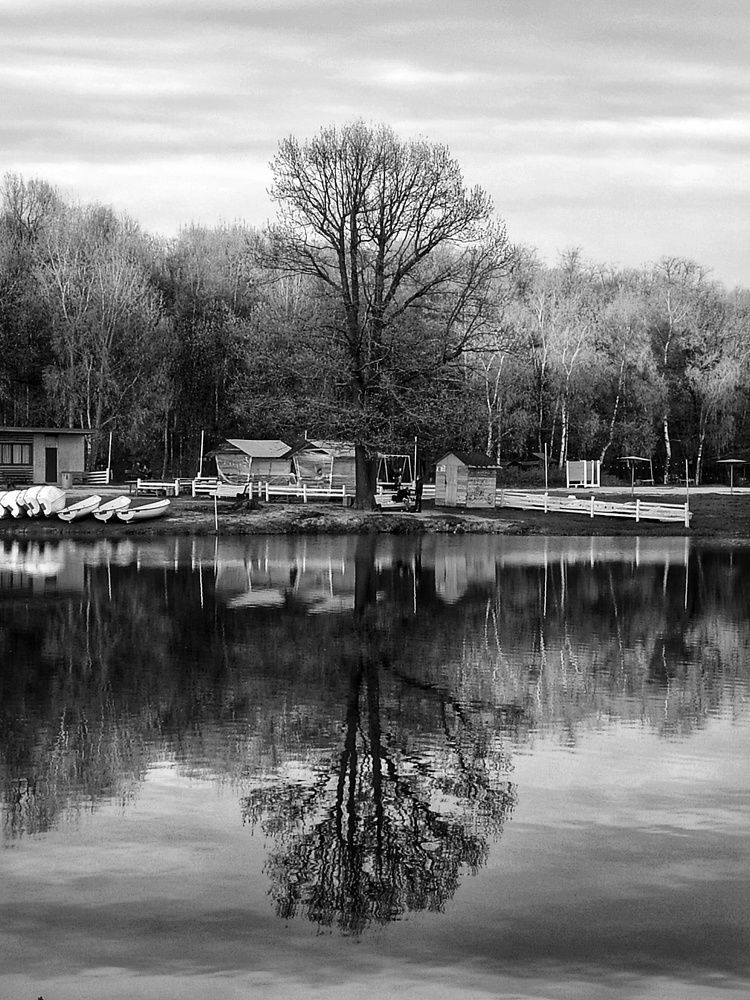 Photograph by Любовь Сухова