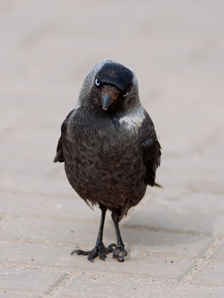 Photograph by Дзен Сергей