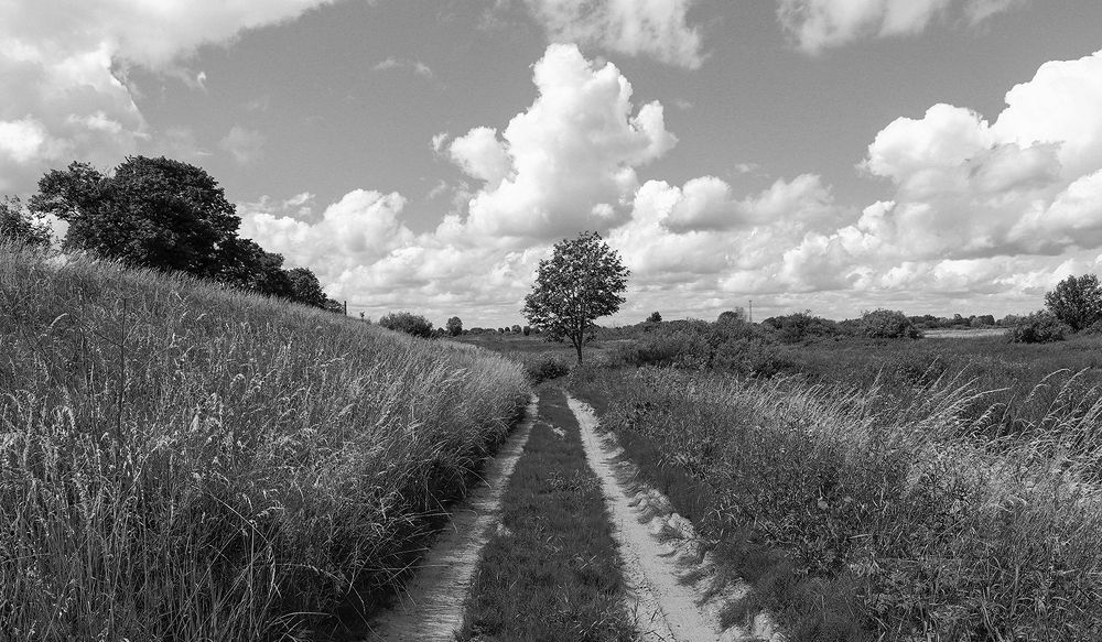 Photograph by Адриана