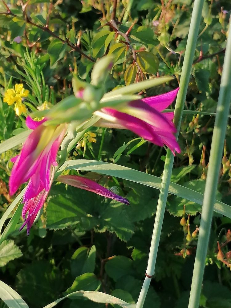 Photograph by Dubravko Maricic